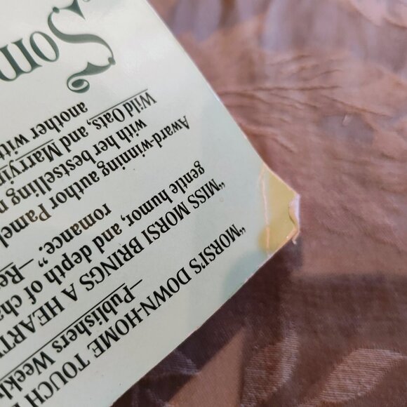 Something Shady by Pamela Morsi, Paperback, Used - Picture 4 of 13